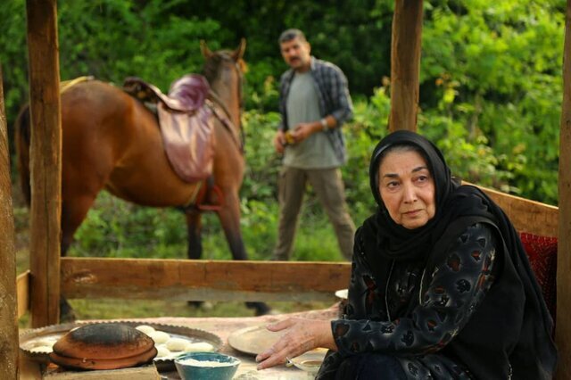 خاطرهبازی با پروانه معصومی با تماشای عکس سریالها
