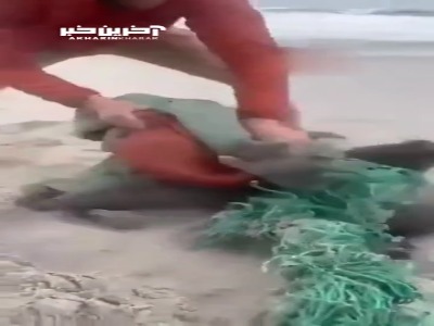 نمونه کوچکی از تاثیر مخرب انسان بر محیط زیست و جانداران