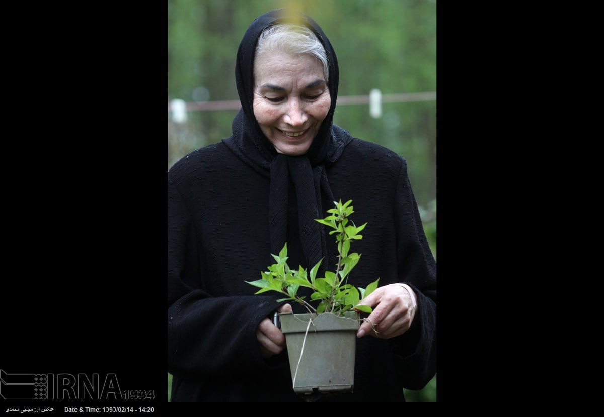 عکس/ زندگی مرحومه "پروانه معصومی" در روستا