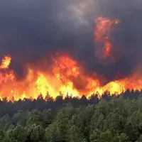 آتش‌سوزی در جنگل‌های دوهزار تنکابن
