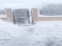 ویدئویی جالب از بارش برف در بلغارستان
