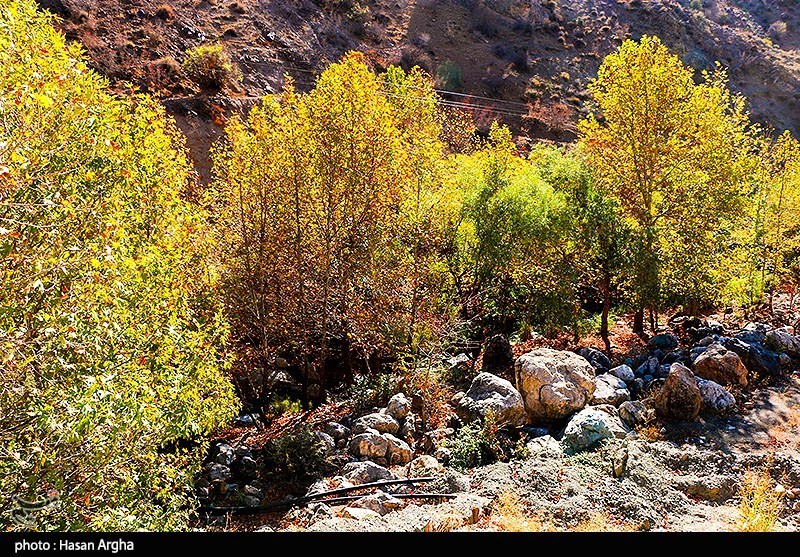 طبیعت پاییزی "طارم" در زنجان