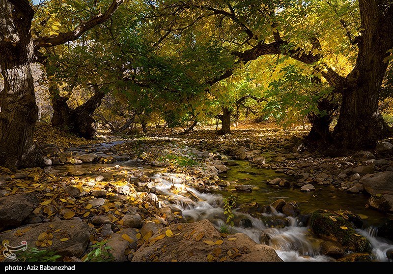 آخرین روزهای پاییز در شهرستان "سلسله" لرستان