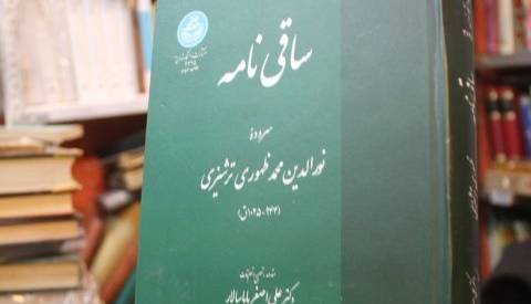 شاعرانه/ دو شعر از ظهوری ترشیزی