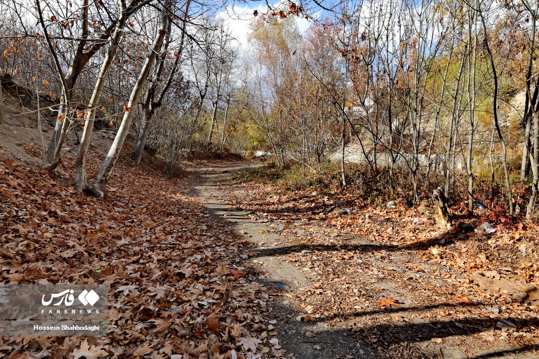طبیعت پاییزی روستایی در قم