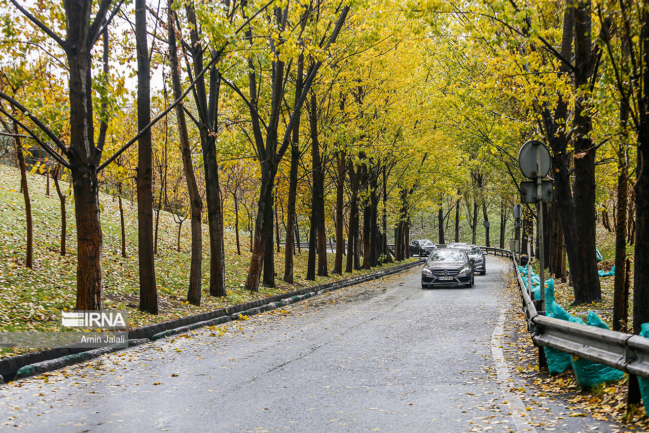 عکس/ باران پاکیزگی در تهران