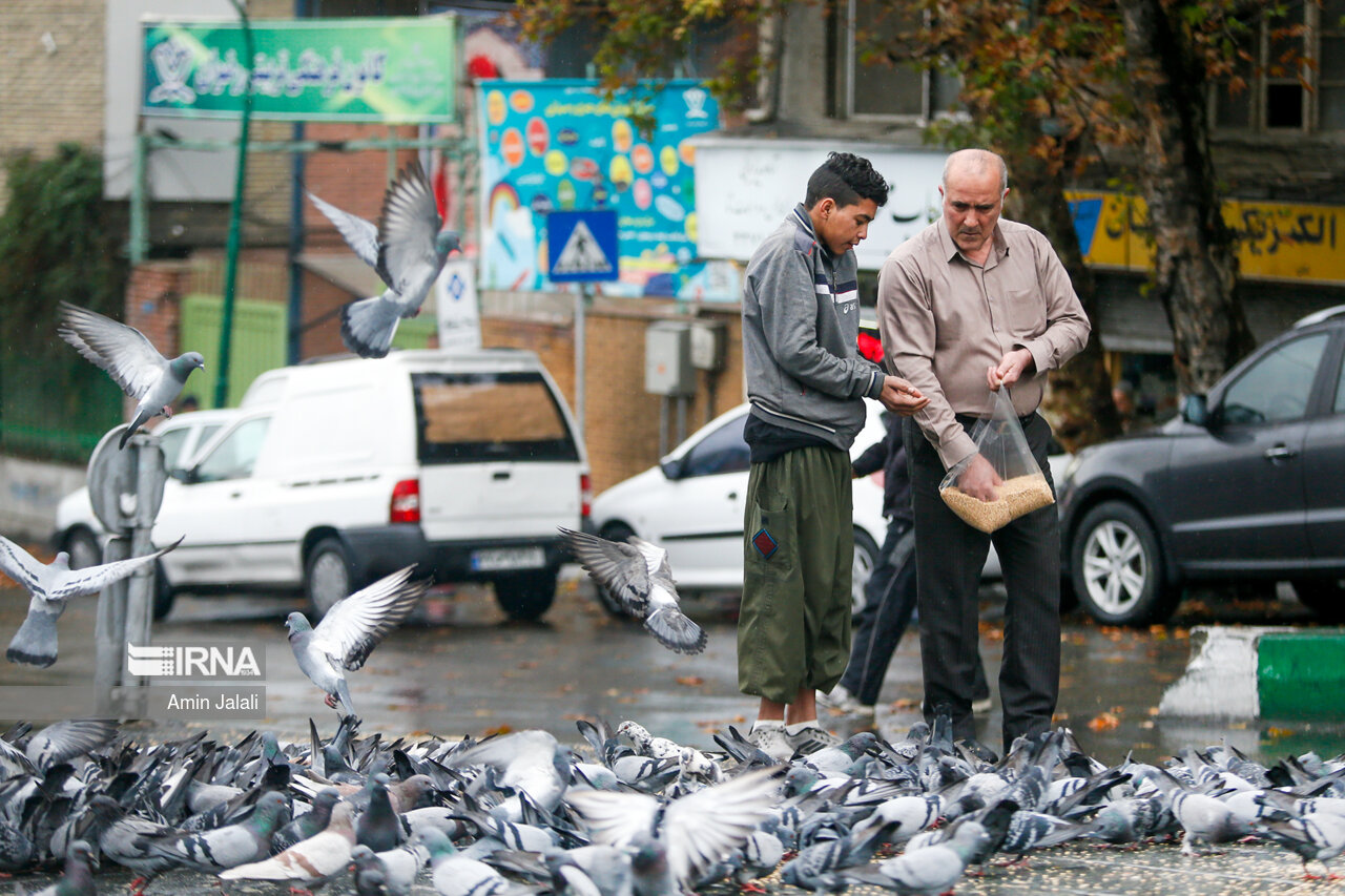 عکس/ باران پاکیزگی در تهران