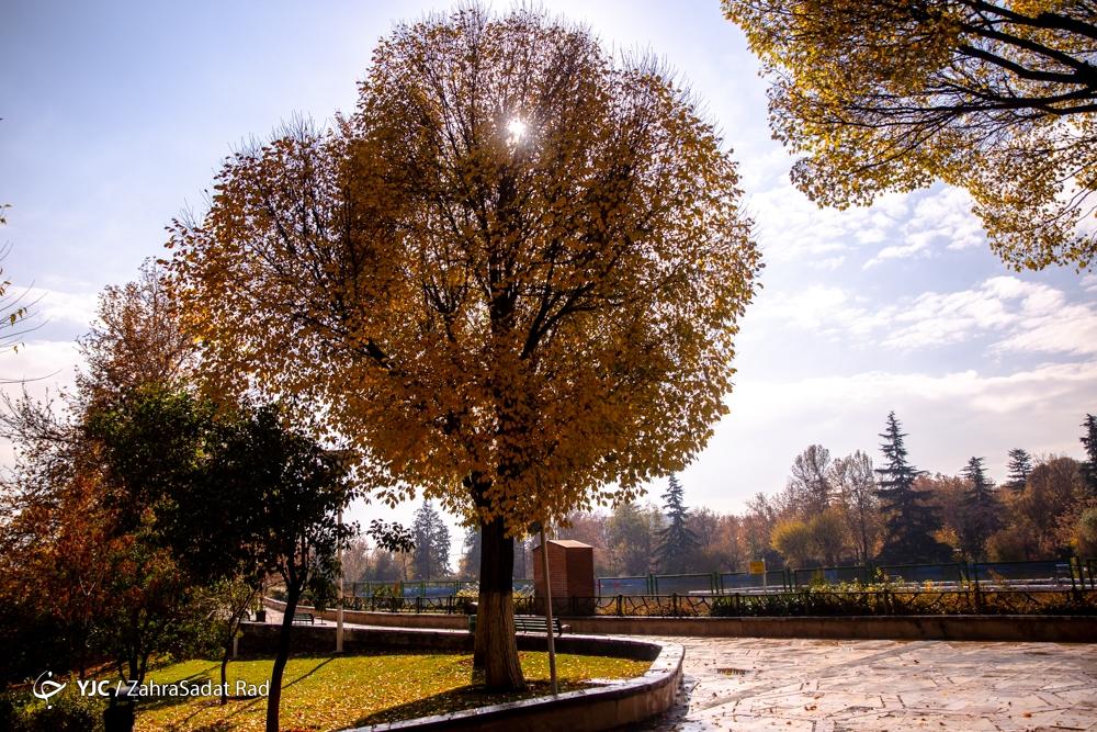 پاییز هزار رنگ در پارک ملت تهران