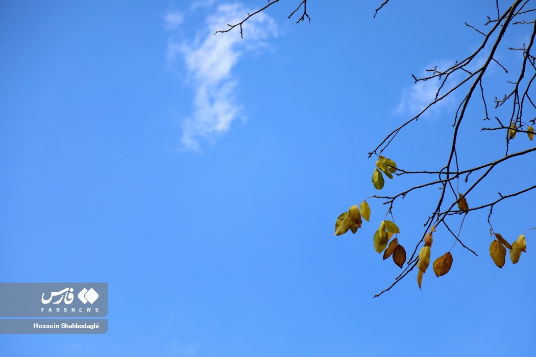 طبیعت پاییزی روستایی در قم