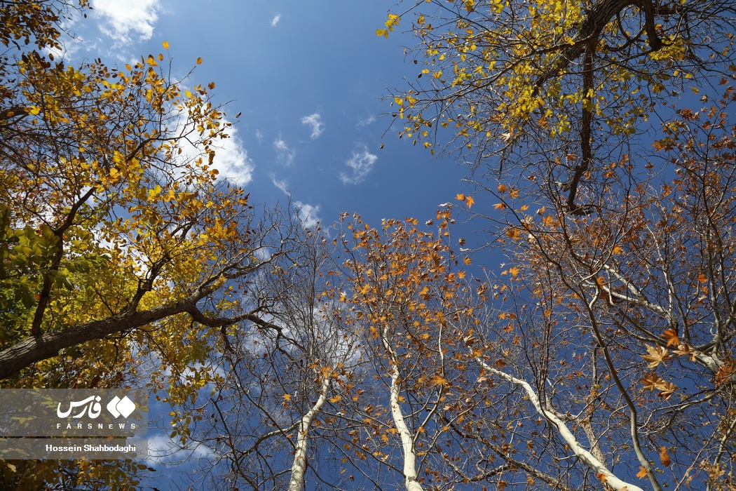 طبیعت پاییزی روستایی در قم