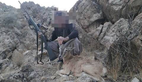 دستگیری شکارچی متخلف در کوهدشت