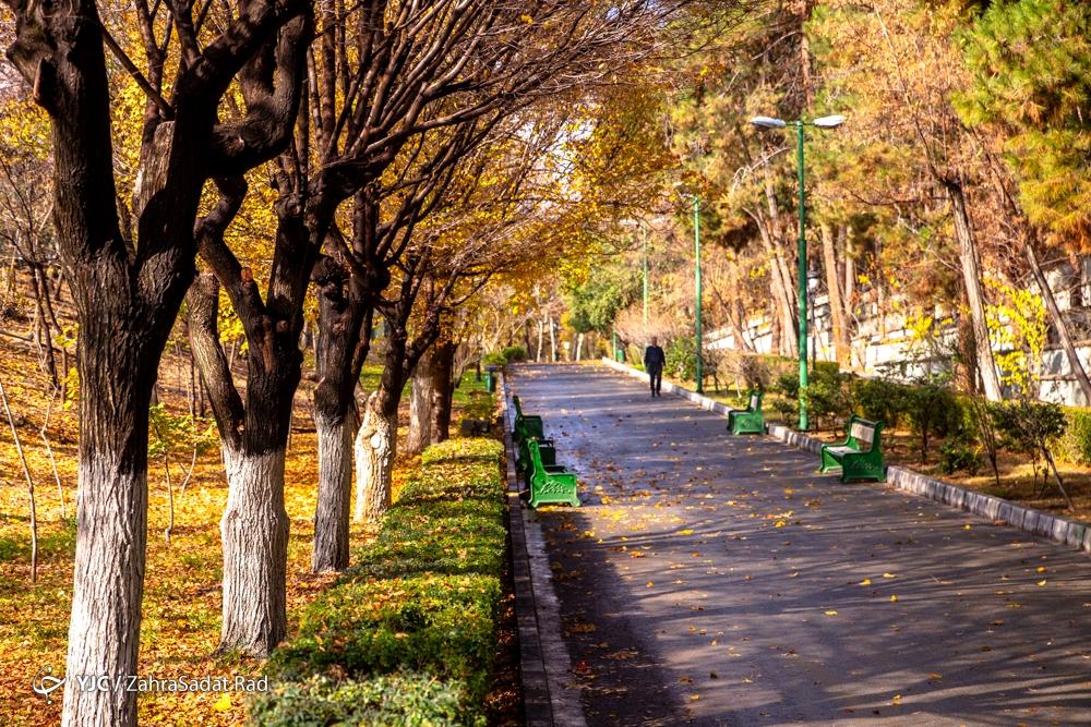پاییز هزار رنگ در پارک ملت تهران