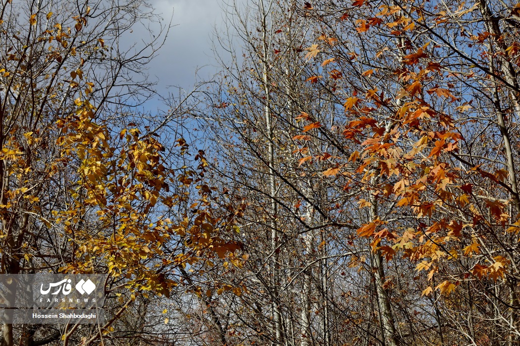 طبیعت پاییزی روستایی در قم