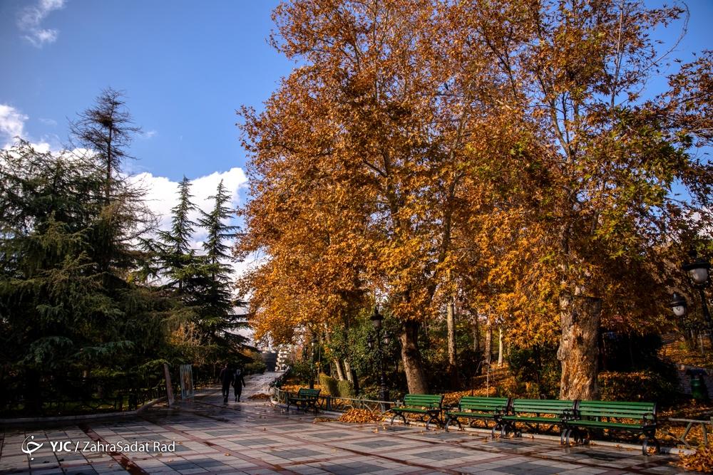 پاییز هزار رنگ در پارک ملت تهران