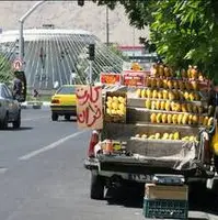 روزنامه شهرداری: وانتی هایی که میوه می فروشند مافیا دارند