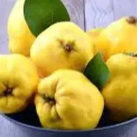هشدار؛ عوارض بوییدن پوست میوه بِه