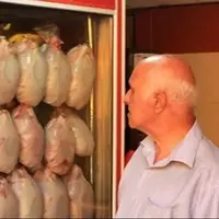 کمبود مرغ در قزوین برطرف می‌شود؟
