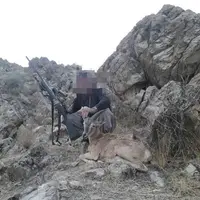 دستگیری شکارچی متخلف در کوهدشت