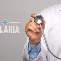 شناسایی یک مورد تبعه خارجی مبتلا به مالاریا در رودبار جنوب 