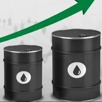 افزایش قیمت نفت با احتمال کاهش بیشتر تولید اوپک پلاس 