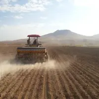 ۴۵ هزار هکتار از مزارع کردستان به زیرکشت محصول جو رفت