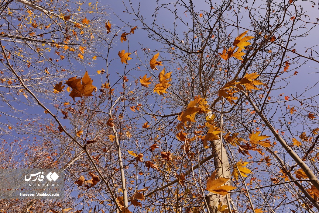طبیعت پاییزی روستایی در قم