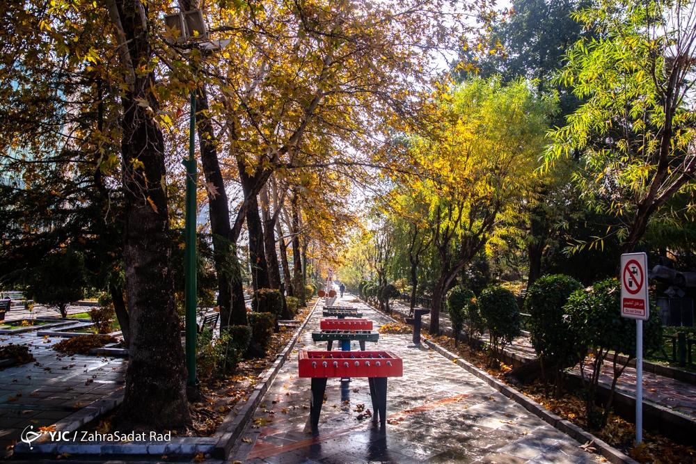 پاییز هزار رنگ در پارک ملت تهران