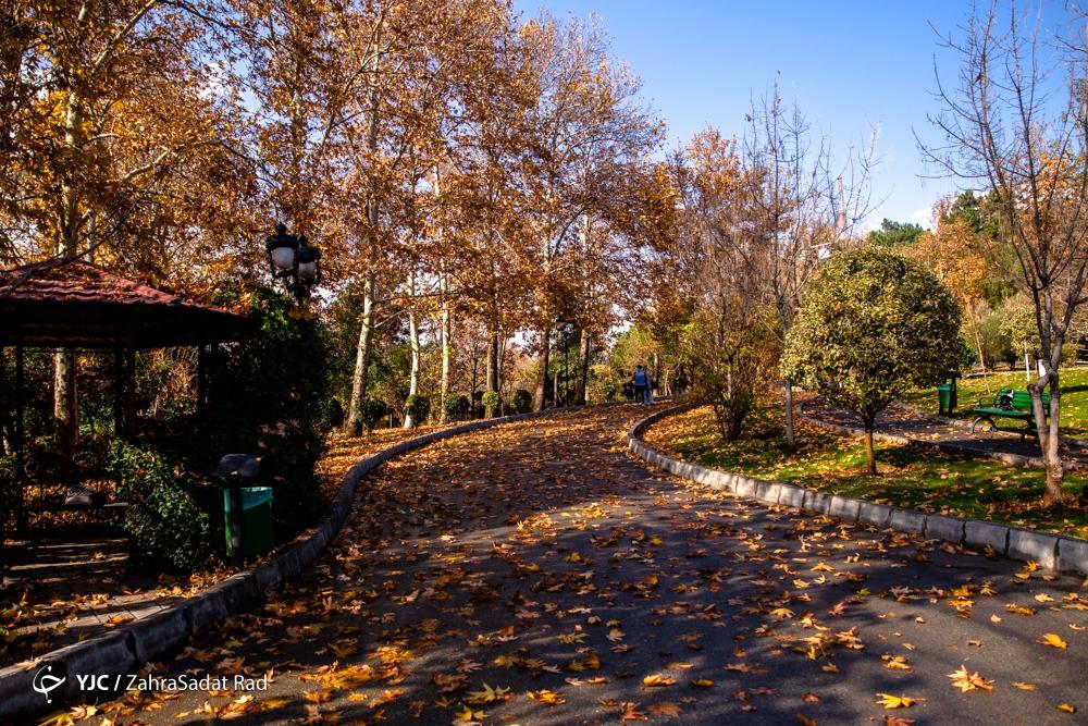 پاییز هزار رنگ در پارک ملت تهران