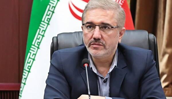 وعده رئیس سازمان برنامه و بودجه در خصوص قیمت ارز