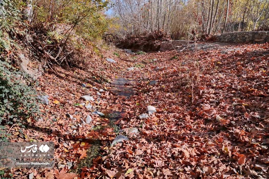 طبیعت پاییزی روستایی در قم