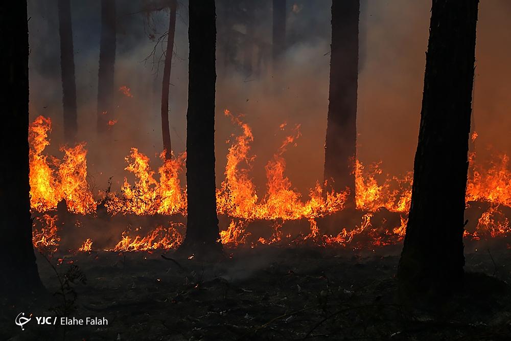عکس/ آتش سوزی در جنگل‌های گیلان