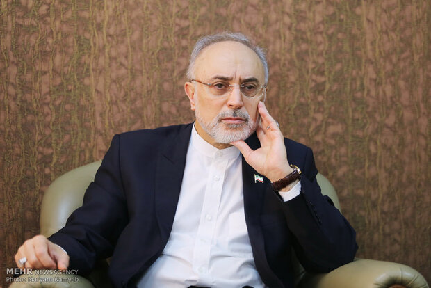 صالحی: آمریکایی‌ها درباره مذاکرات دروغ می‌گویند