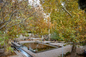 طبیعت پاییزی سرچشمه محلات