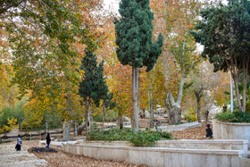 طبیعت پاییزی سرچشمه محلات