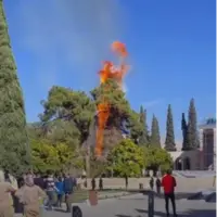 آتش‌سوزی در آرامگاه سعدی