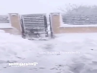 شدت کولاک بی سابقه برف در بلغارستان