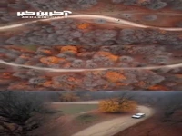  پاییز در مسیر جنگلی مازیچال 