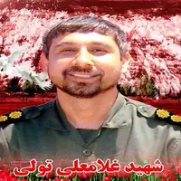 پیکر شهید تولی پس از ۱۱ سال دوری وارد گلستان می‌شود