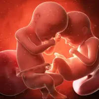 مکالمه دو جنین در رحم مادر