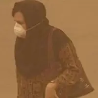 مالچ‌پاشی، درخواست فوری سرخس برای مقابله با ریزگردها