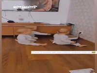 واکنش جالب سه‌ قلوها در اولین برخورد با جاروی رباتیک
