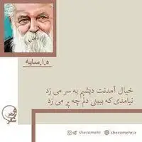شاعرانه/ خیال آمدنت دیشبم به سر می زد