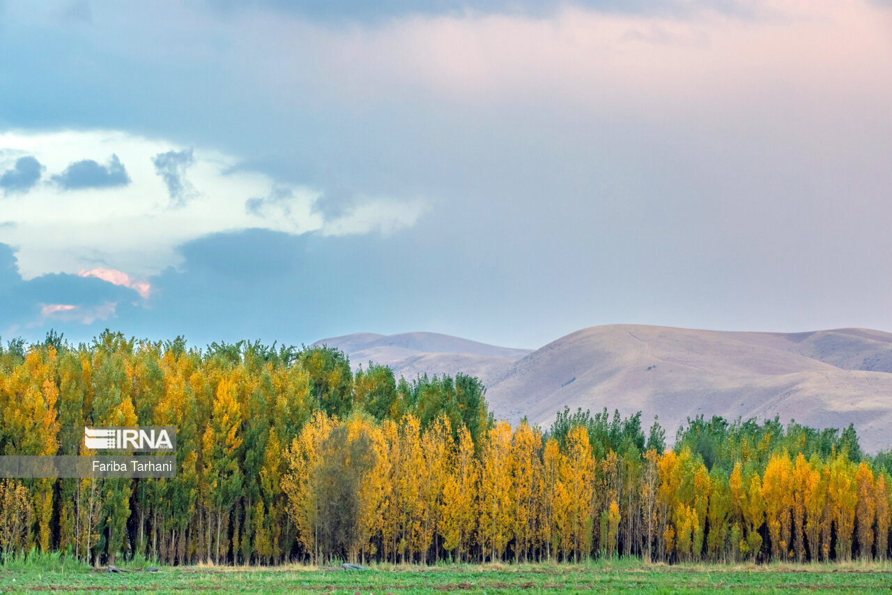 پاییز شگفت‌انگیز در سلسله