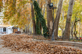 طبیعت پاییزی سرچشمه محلات