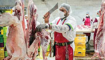 آخرین وضعیت قیمت گوشت