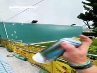 نقاشی دیواری فوق العاده طبیعی