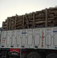 کشف محموله الوار جنگلی قاچاق در نمین
