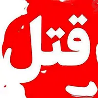 اعتراف دو برادر به قتل مرد جوان در جنوب تهران