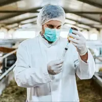 تب برفکی در بوکان کنترل شد