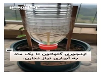 تکنیکی جالب برای آبیاری گیاهان
